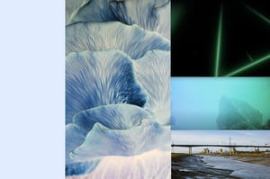 A four image collage of mushrooms, lasers, underwater footage and the River Avon, which each inspired a different innovative student project